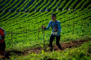 BIB: 
                            <button type="button" onclick="openModal(19160889)" class="btn btn-primary btn-sm float-right btn-popup" data-toggle="modal" data-target=".modal-high-quality">
                        <i class="fas fa-shopping-cart"></i> Add to Cart
                    </button>
                                            <button type="button" onclick="isThisMe(19160889, true)" class="btn btn-success btn-sm float-right btn-popup btn-isme hidden" data-toggle="tooltip" data-placement="bottom" title="นี่คือรูปของคุณใช่ไหม คลิกที่นี่เพื่อเอาเข้าอัลบั้ม">
                        <i class="fas fa-plus"></i> Add to album
                    </button>
                    <button type="button" onclick="isThisMe(19160889, false)" class="btn btn-warning btn-sm float-right btn-popup btn-isnotme hidden">
                        <i class="fas fa-ban"></i> Remove from album
                    </button>